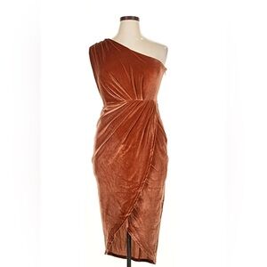 Baltic Born One Shoulder Rust Velvet Dress